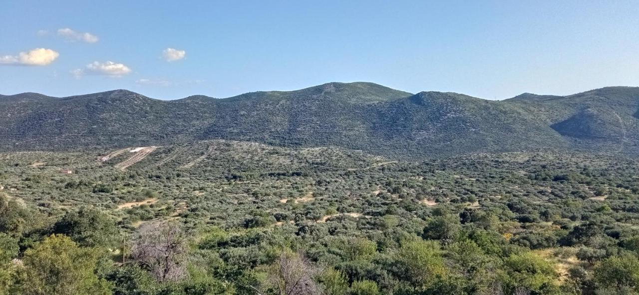 Holiday Home Peran Grebaštica Zewnętrze zdjęcie